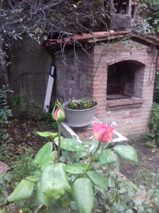 Casa Patti Alle Porte Di Siena Kültér fotó