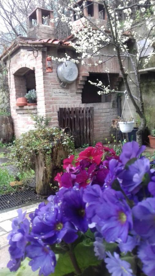 Casa Patti Alle Porte Di Siena Kültér fotó