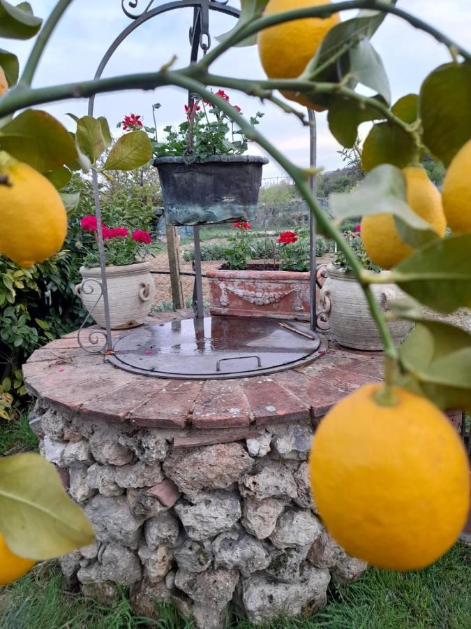 Casa Patti Alle Porte Di Siena Kültér fotó