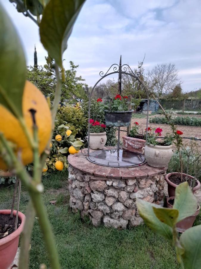 Casa Patti Alle Porte Di Siena Kültér fotó